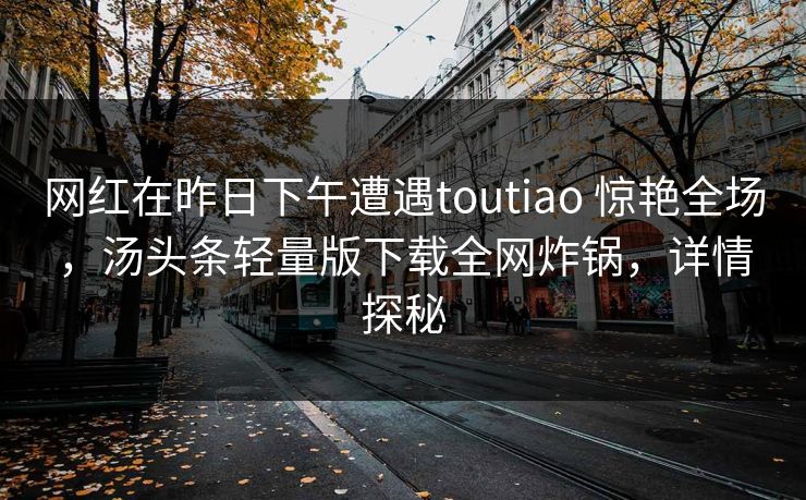 网红在昨日下午遭遇toutiao 惊艳全场，汤头条轻量版下载全网炸锅，详情探秘