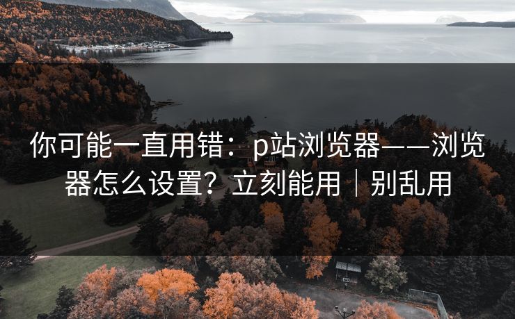 你可能一直用错：p站浏览器——浏览器怎么设置？立刻能用｜别乱用